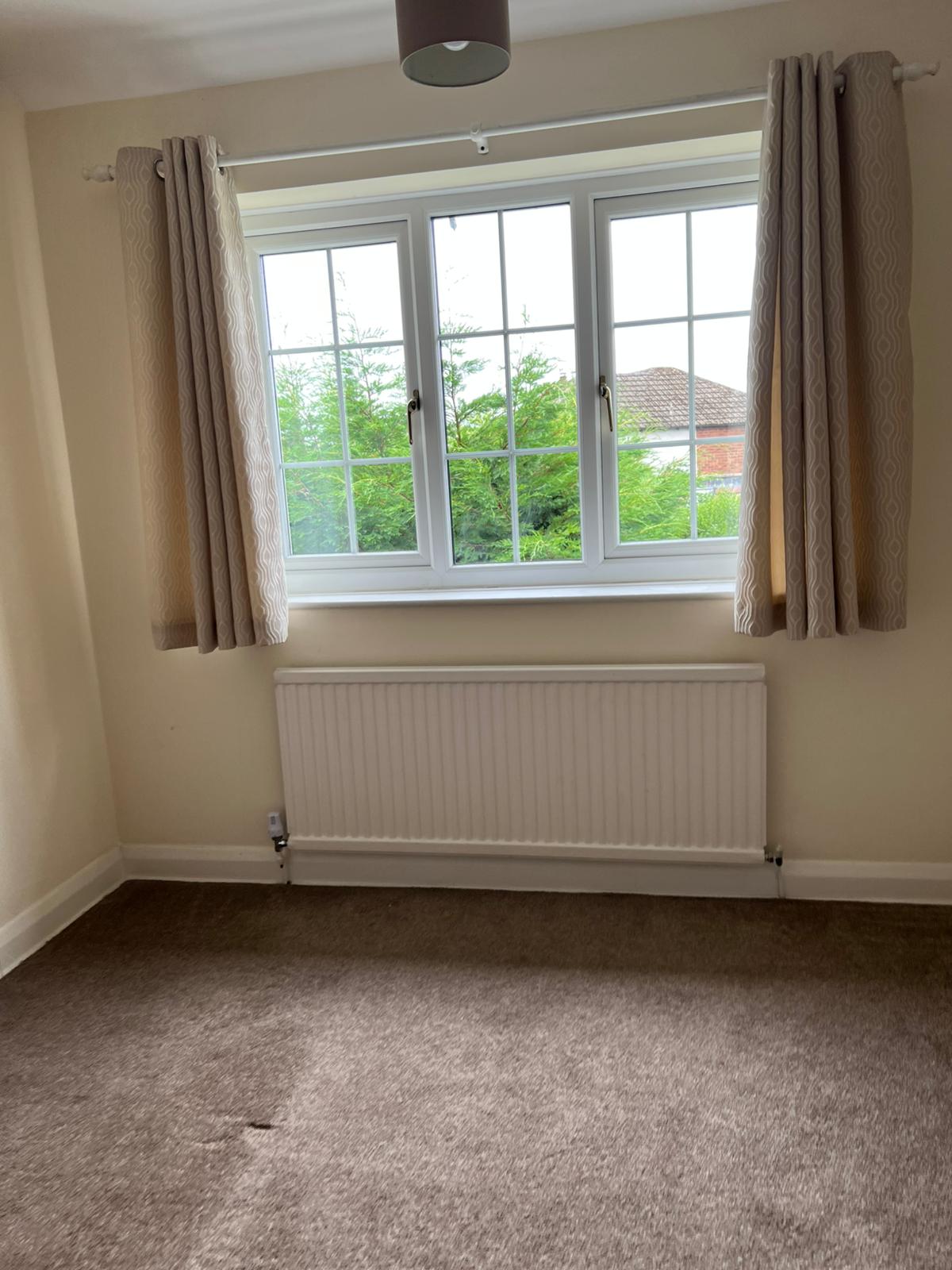 cartain and window cleaning